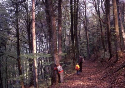 1973: Walking through the Swiss forests